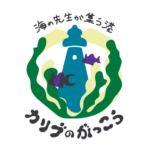 カリブの学港、始動