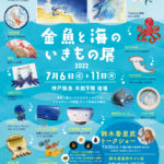 金魚と海のいきもの展 in 神戸