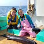 新種深海魚ヨコヅナイワシを捕獲！